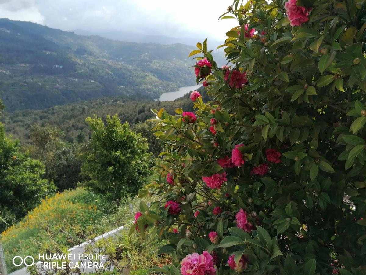 Hébergement de vacances Casa Douro Terrace *